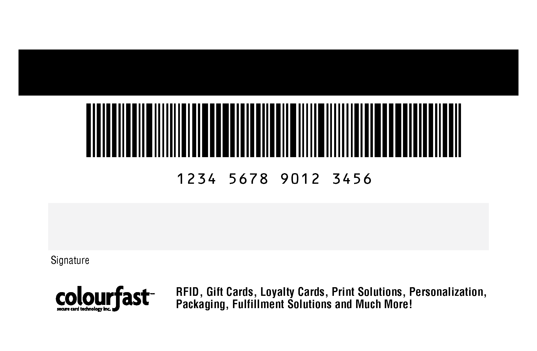 Image of Magnetic Stripe, Variable Barcode, Human-readable number, Signature Panel