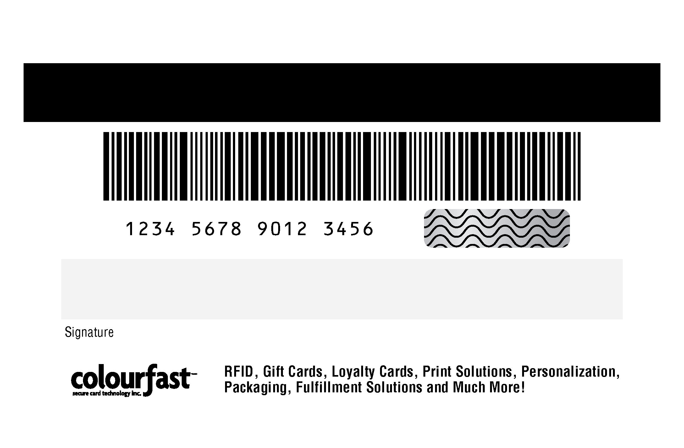 Image of Magnetic Stripe, Variable Barcode, Human-readable number, Signature Panel, Scratch Off Panel