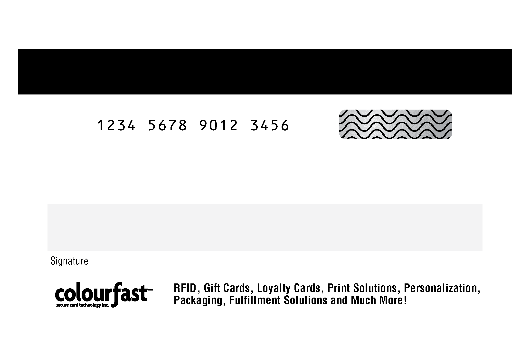 Image of Magnetic Stripe, Human-readable number, Signature Panel, Scratch Off Panel